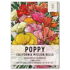 Seed Needs, Mission Bells California Poppy Seeds - 2,000 Seeds for Planting Eschscholzia californica - Open Pollinated & Untreated Wildflowers for Growing a Butterfly Garden (1 Pack)