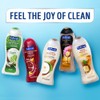 Softsoap Moisturizing Body Wash, Pomegranate and Mango - 20 fluid