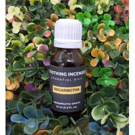 HAPPY SURROUNDINGS Nagarmotha Essential Oils ~ Pure Natural Aromatherapy Massage Oil - Therapeutic Grade - 100% Natural Incense - Pure essential oil (30ml)