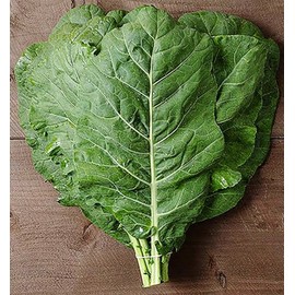 Vates Collard Seeds - Blue-Green Cabbage-Like Delicious Leaves