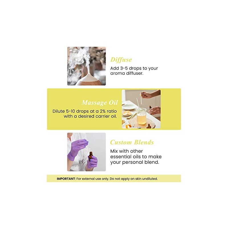 Handcraft Blends PPTABOLD Handcraft Lemon Essential Oil - Huge 4