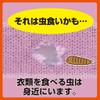 ムシューダ 1年間有効 防虫剤 クローゼット用 3個入