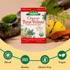 Tadin Organic Throat Wellness Tea, Caffeine Free Herbal Tea for