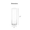 CYS Excel 2 PCS Clear Glass Cylinder Vase (D:5" H:17")