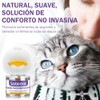 Kit de Difusor de Feromonas Calmantes para Gatos 6 en
