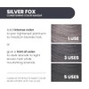 ALOXXI Instaboost Conditioning Color Masque, Silver Fox, 6.8 Fl Oz