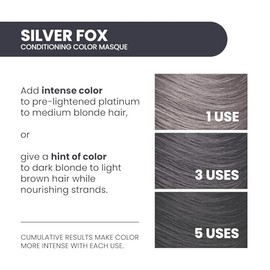 ALOXXI Instaboost Conditioning Color Masque, Silver Fox, 6.8 Fl Oz