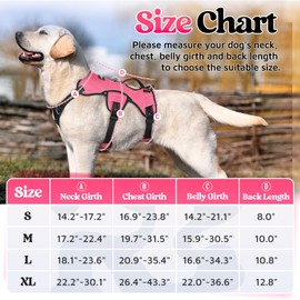 rabbitgoo Escape Proof Dog Harness, Soft Padded Full Body Pet Harness, Reflective Adjustable No Pull Vest with Lift Handle and Leash Clip for Large Dogs Walking Hiking Training, M, Pink