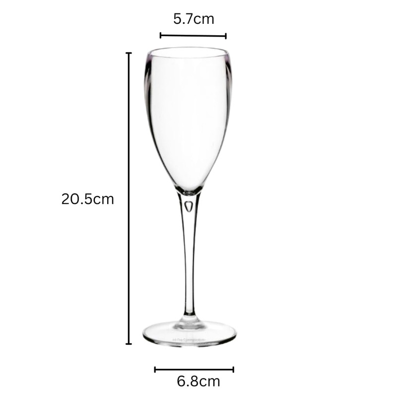 AIOS Pair of Champagne Flutes Made from Unbreakable Polycarbonate 180ml/