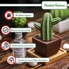 Lively Breeze Maxi Cactus, Non-Electric Ceramic Diffusers for Essential Oils