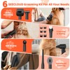 Dog Grooming Essentials: Vacuum, Dryer & 6 Tools Kit