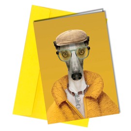 Funny Whippet Dog Birthday Card/Anniversay Card/Get Well Greeting from the Dog in Yellow Coat with Sun Glasses #168f