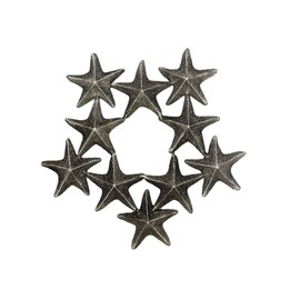 Hugo De Sanchez Small Starfish Trivet - Antique Pewter