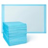 Medline Light Absorbency Underpad, 23" x 36", 50 Count, Disposable