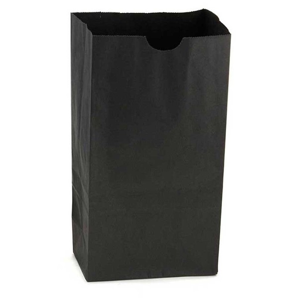 Hygloss Products Black Paper Bags – for Party Favors, Arts, Crafts 4.5 x 8.5 x 2.5 Inch, 100 Pack