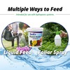 Jack's Classic 10-30-20 Blossom Booster Water-Soluble Fertilizer with Micronutrients for