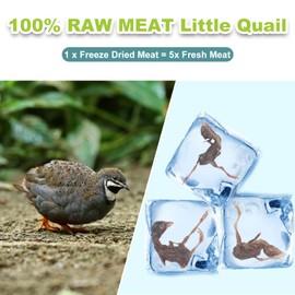 Freeze-Dried Quail Cats & Dogs Treats - Single Ingredient Pet Snacks, High-Protein Training Rewards, Grain-Free, Easy Digestion (3oz)