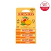 Burt's Bees 버츠비 망고 립밤 트리오 팩 Burt's Bees Mango