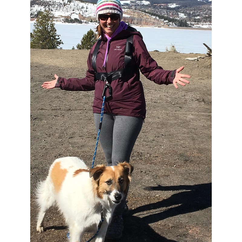 Hands Free Dog Harness