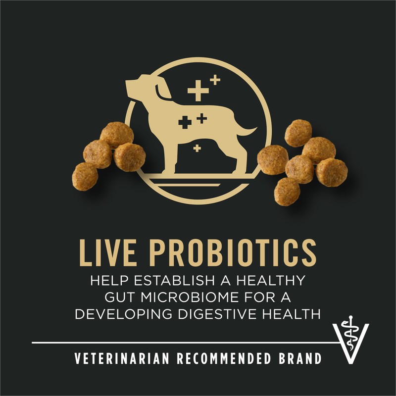 Purina Pro Plan High Protein Small Breed Puppy Food DHA