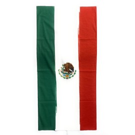Mexico Flag Multipurpose Bandana