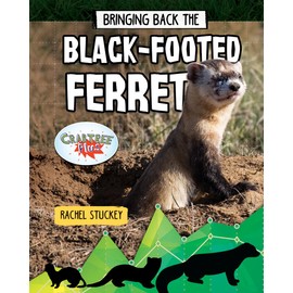 Bringing Back the Black-Footed Ferret (Animals Back from the Brink)