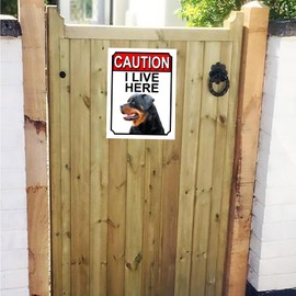 Shawprint CAUTION I LIVE HERE METAL GATE SIGN ROTTWEILER THEME 200MM X 150MM (1415H1)