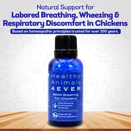 HA4E - Chicken Respiratory Support Supplement - Effective Breathing Aid for Chickens - Highly Effective Homeopathic Formula - 300 Tablets