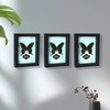 Wall Art Decoration Real Butterfly Framed Butterfly Taxidermy - Butterfly