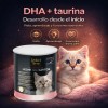 Sustituto De Leche Para Gatitos 360 Gr Perfect Sense