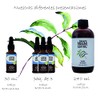Aceite de NEEM Orgánico 100% puro sin diluir - Azadiractina