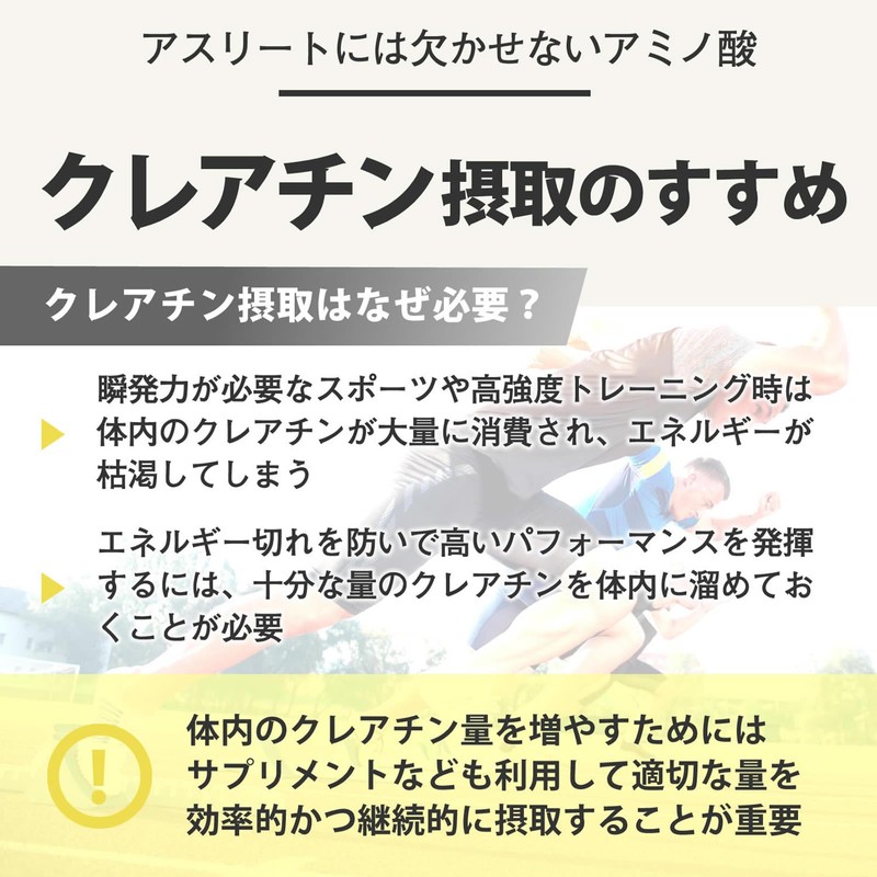 F&W クレアチン モノハイドレート 500g 100食分 パウダー 無添加 creatine monohydrate