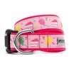The Worthy Dog Birthday Collar - Festive Pink Dog Collar