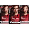 Brillance Intensive Colour Cream 876 Stainless Mahogany Level 3 (3