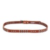 OLD TREND Genuine Leather Stud Belt (CAMEL, MEDIUM)