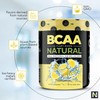 Nutrology Nutrology Grass Fed Whey Protein Powder, Supports Lean Muscle