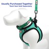 Pawtitas Dog Vest Harness Made with Breathable Air Mesh |