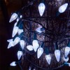 Twinkle Star 50 Twinkle Star 16' Waterproof C6 LED String
