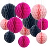 Pack of 12 Black and Pink Paper Honeycomb Balls, Hanging