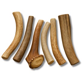 WhiteTail Naturals - Antlers for Extra Small Dogs (6 Pack) Deer Antler Dog Chew Bones for Extra Small Aggressive Chewers - Long Lasting Horn Chew Toys - Naturally Shed