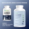 Wellthy Glicinato Magnesio 400 Cápsulas 432mg 100 Natural Puro Alta
