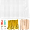 OFKPO 100 Ice Lolly Bags and Sticks, with 150 Twist