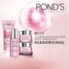 PONDS Rutina Completa ( 5 pasos)