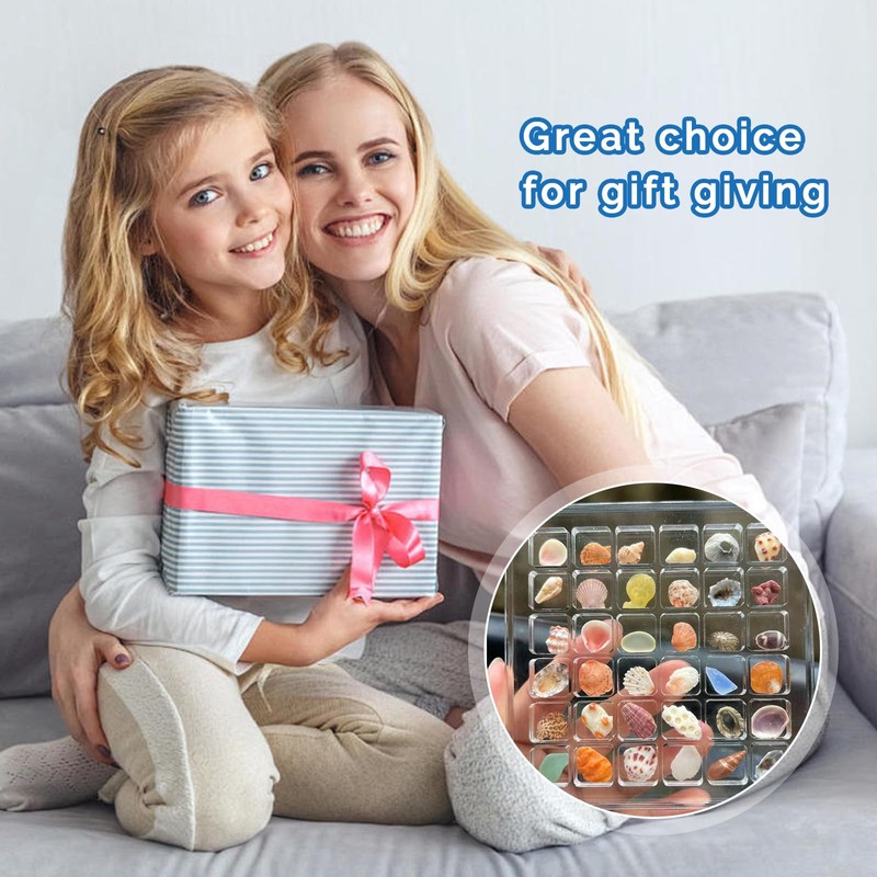 Vordpe 36 Compartments Acrylic Magnetic Seashell Display Box, Clear Shell