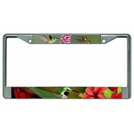 Hummingbirds Chrome Photo License Plate Frame Free Screw Caps with This Frame