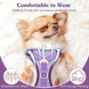 VavoPaw Cat Harness and Lead Set for Walks, Adjustable Kitten