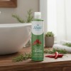Pack Shampoos Chile Romero 530ml Shelo Nabel