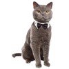Doggie Style Store White Black Bow Tie Cat Kitten Pet