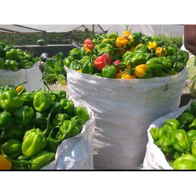 Kopabana Cameroonian Hot Pepper, Ground, 2 oz