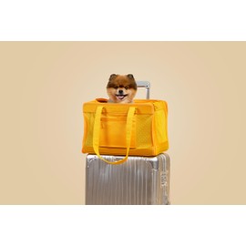 Fashionable Travel Pet Carrier for Small Dogs and Cats by Oskar&Friends | Airline Approved Small Dog Carrier | Puppy Carrier | Soft Sided Cat Carrier| Lightweight Travel Purse for Pets Under 15lbs